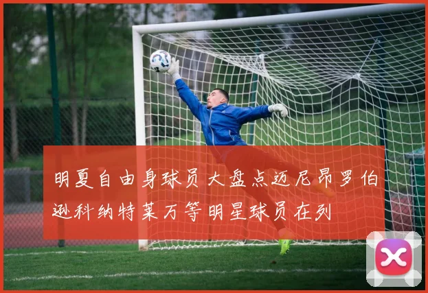 明夏自由身球员大盘点迈尼昂罗伯逊科纳特莱万等明星球员在列