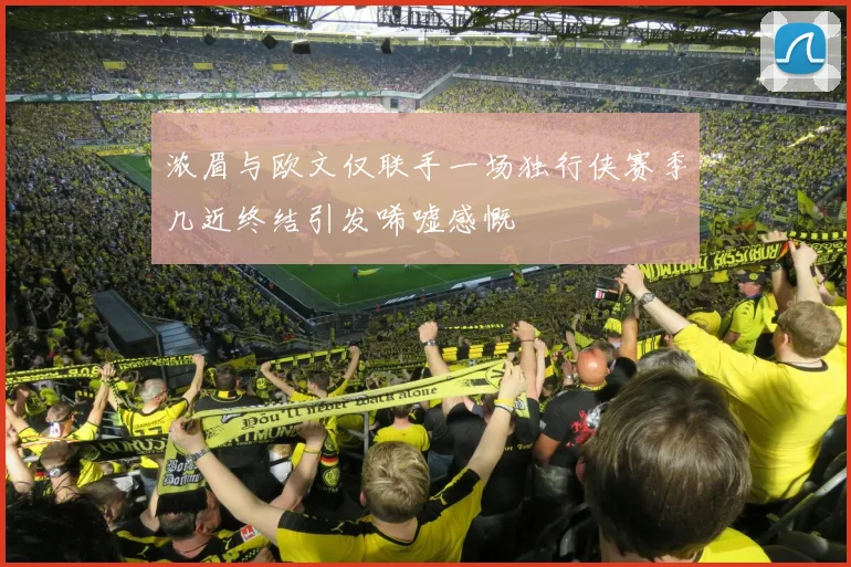 浓眉与欧文仅联手一场独行侠赛季几近终结引发唏嘘感慨