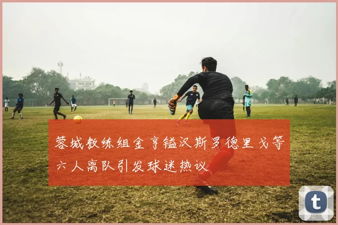 蓉城教练组金亨镒汉斯罗德里戈等六人离队引发球迷热议