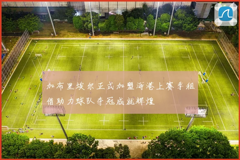加布里埃尔正式加盟海港上赛季租借助力球队夺冠成就辉煌
